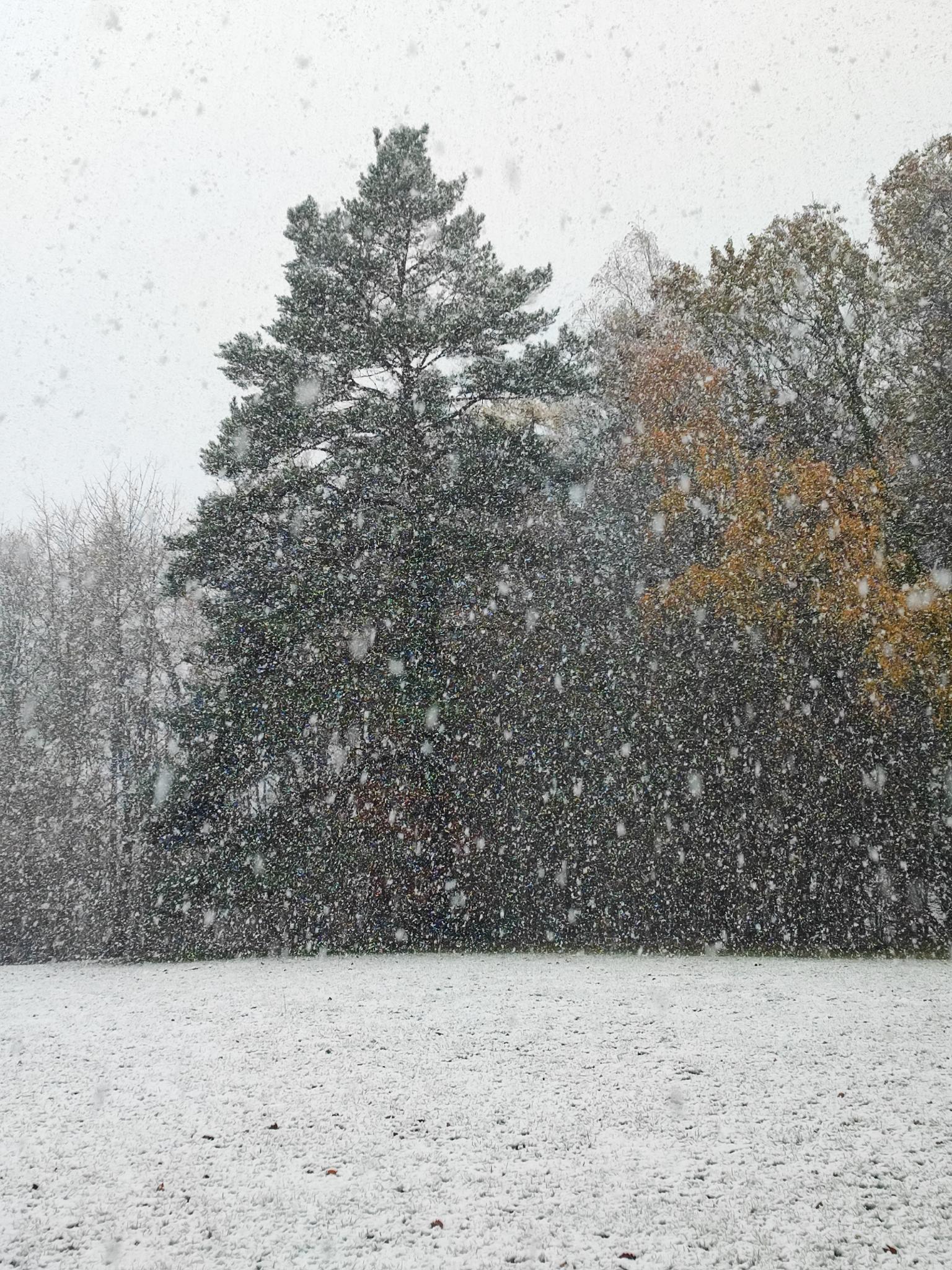 image from Un Hiver Actif