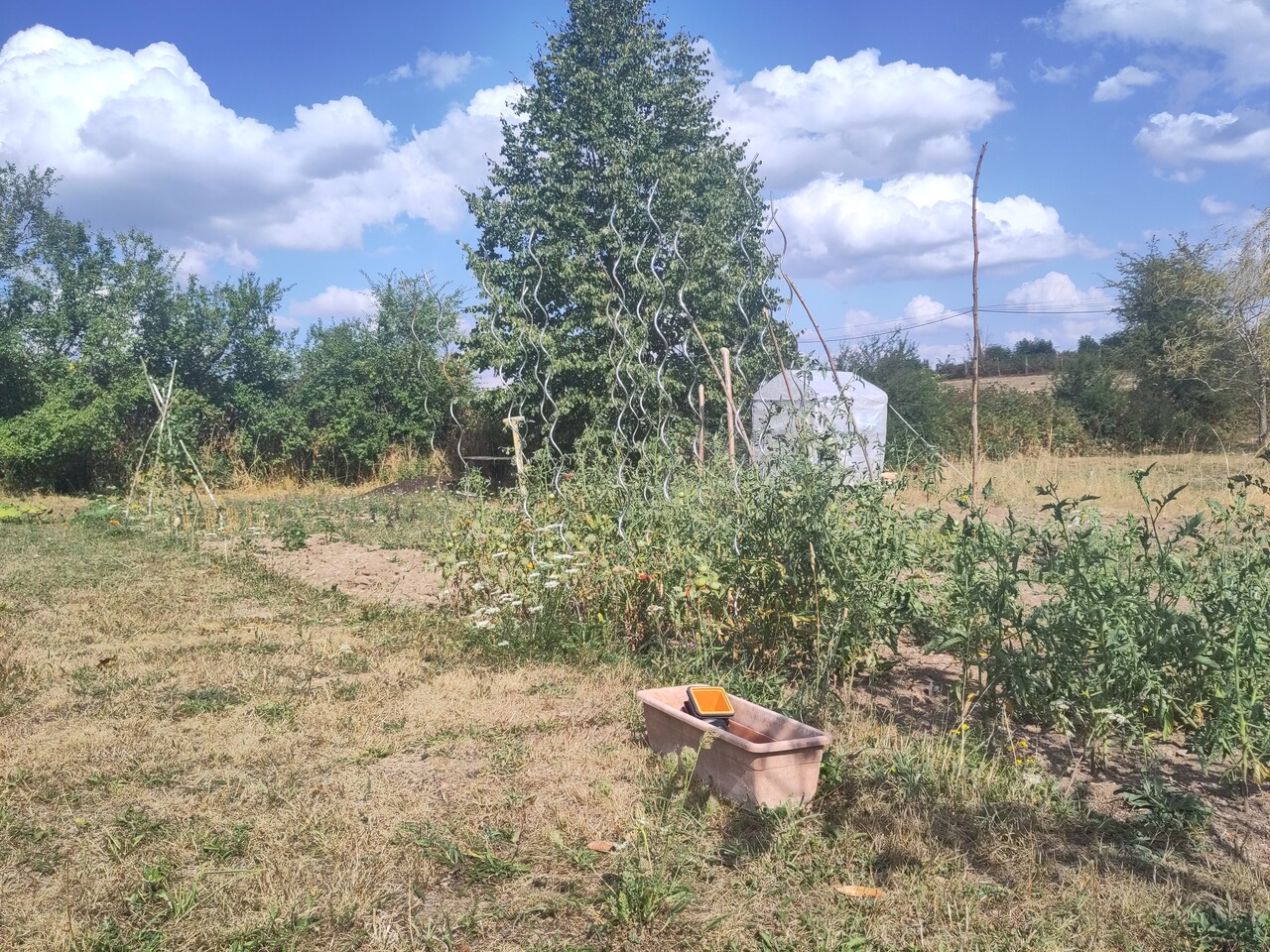 image from Point sur le potager en 2026